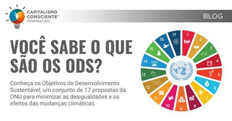 em 2021 odss|O que são os ODS .